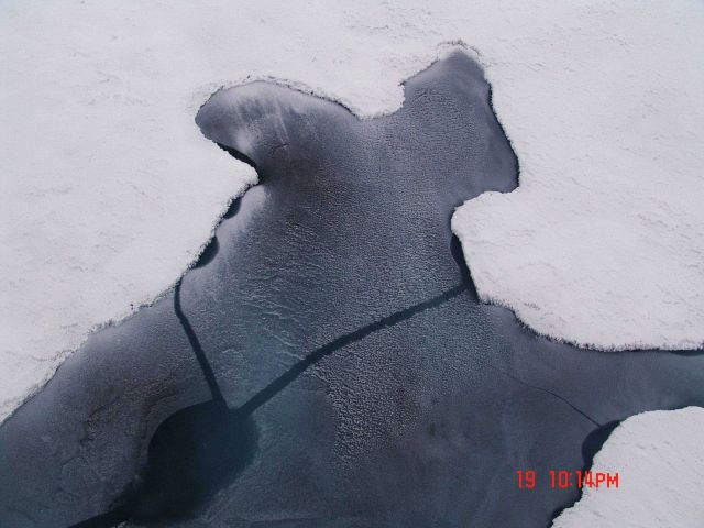 Ice forming over a melt pond that has melted through to the ocean below. Picture