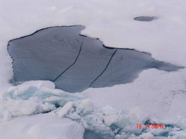 Ice forming over a melt pond Picture