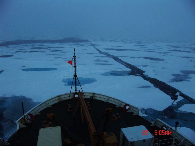 The bow of the CGC HEALY plowing through ice floes and melt pools Picture