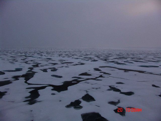 Ice floes and melt ponds on a gray day with a hint of sun illuminating fog and clouds to upper right. Picture