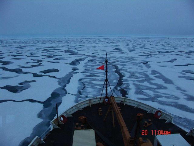 Running along a fractured area between ice floes and melt ponds Picture