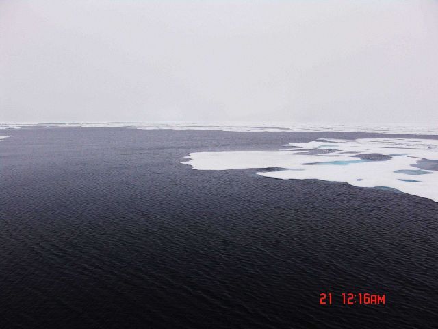 Ice floes on the edge of a polynya. Picture