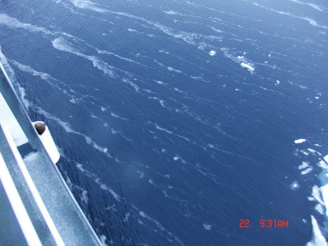 Frazil ice blowing into bands on surface of water. Picture