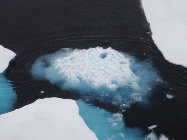 Remnants of a melting ice floe. Picture
