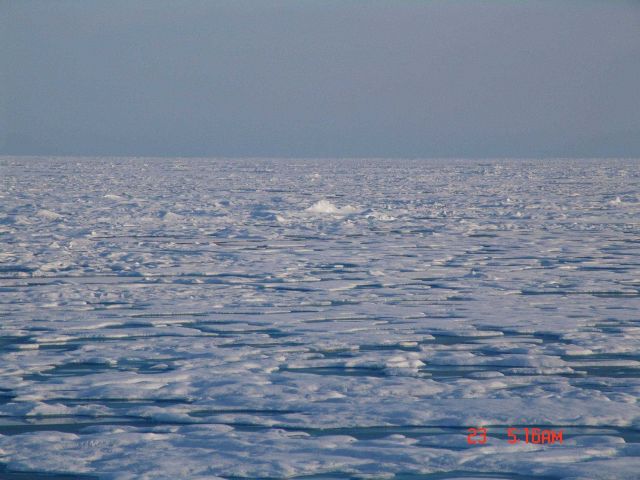 Multi-year ice with melt ponds Picture