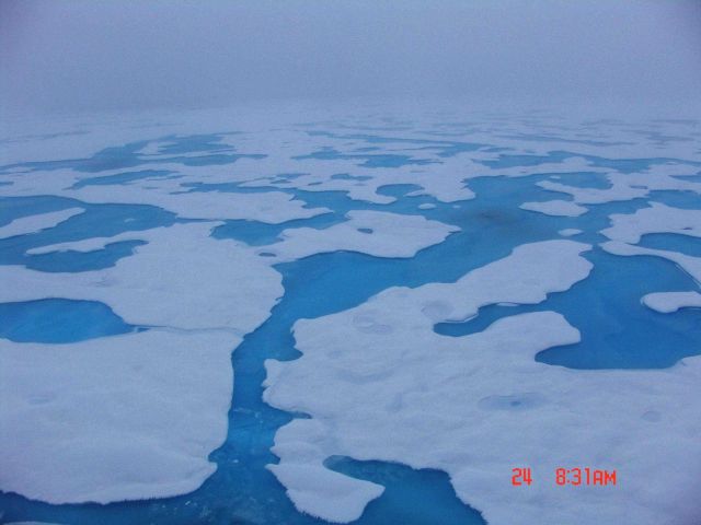Aquamarine melt ponds in multi-year ice. Picture
