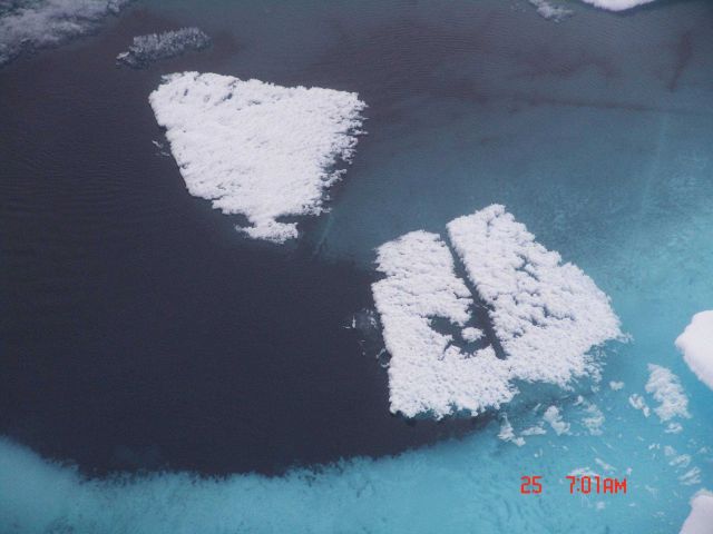 Honeycombed melting ice Picture
