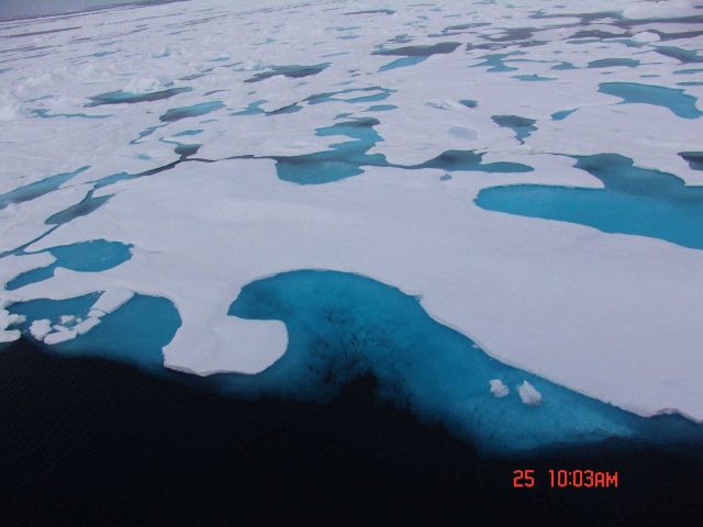 The edge of an area of multi-year ice with aquamarine melt ponds. Picture