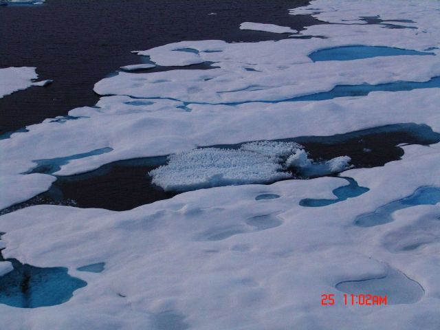The edge of an area of multi-year ice with aquamarine melt ponds. Picture