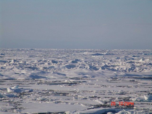Hummocky multi-year ice with smoother first-year ice floes in the foreground. Picture