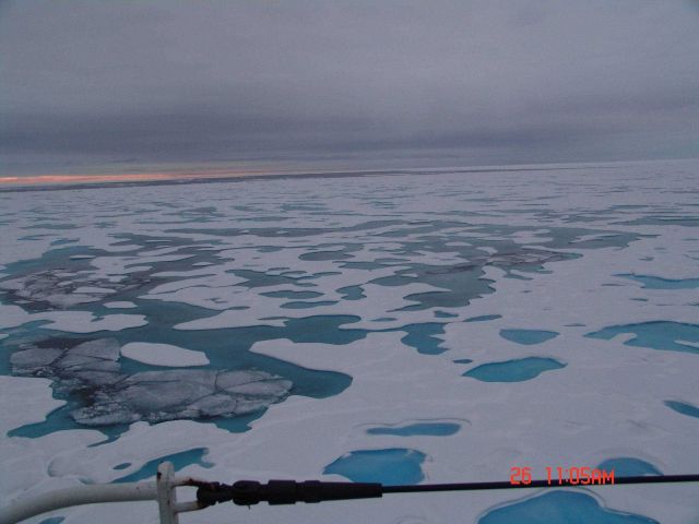 Aquamarine melt ponds in multi-year ice. Picture