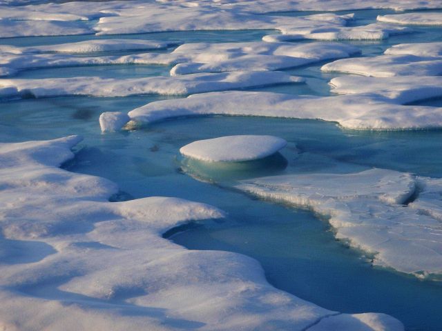 Aquamarine melt ponds in multi-year ice. Picture