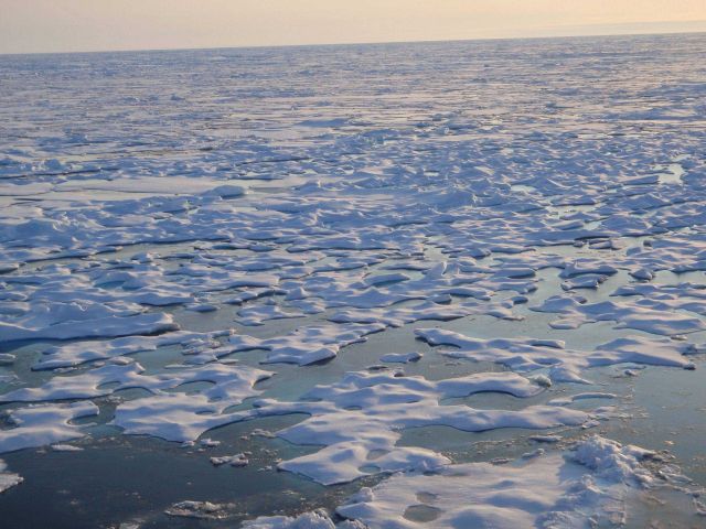 Hummocky multi-year ice with melt ponds interspersed with smoother first year ice. Picture
