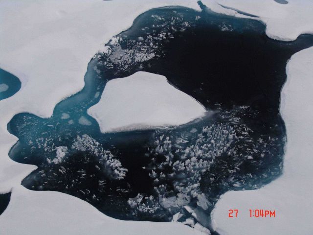 Refreezing melt pond in multi-year ice. Picture