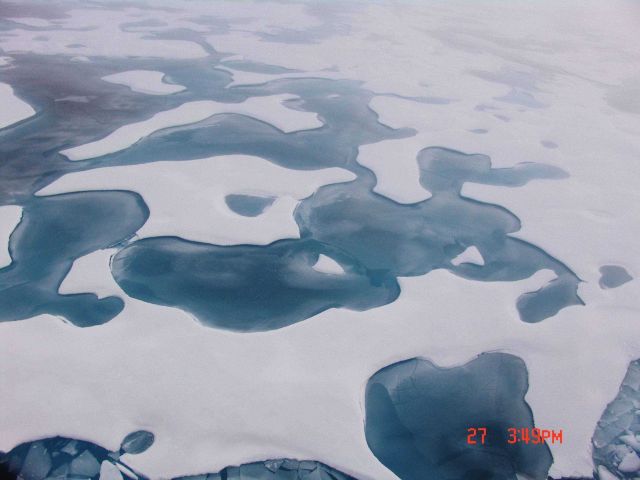 Refreezing melt ponds in multi-year ice. Picture