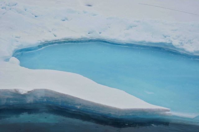 Aquamarine melt pond freezing over Picture