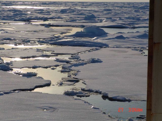 Refreezing melt pond in multi-year ice. Picture