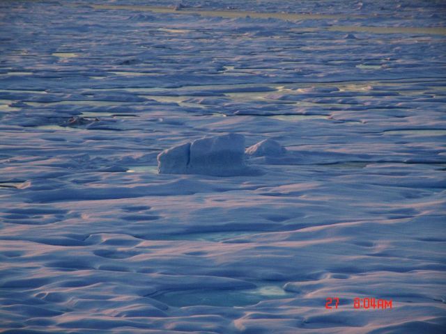 Area of multi-year ice with melt ponds refreezing. Picture
