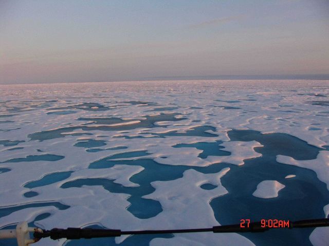 Area of multi-year ice with melt ponds refreezing. Picture