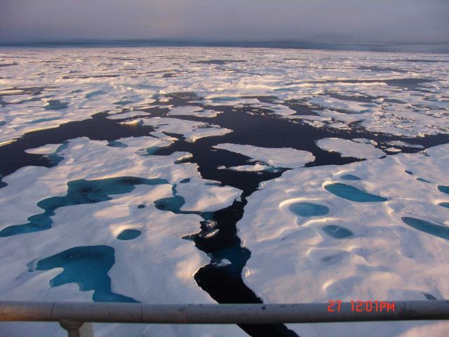Area of multi-year ice with melt ponds refreezing Picture
