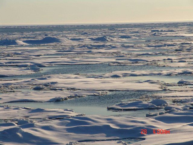 Ice floes in multi-year ice in late summer. Picture