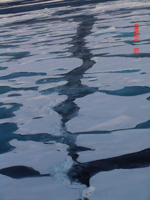 Remains of a fracture through first-year ice. Picture