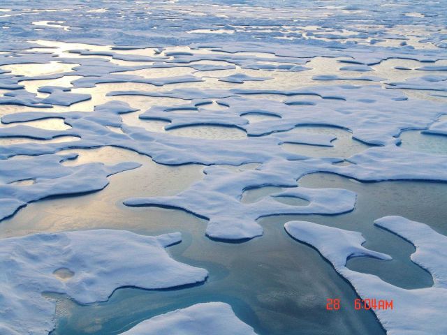 Refreezing melt ponds in multi-year ice. Picture