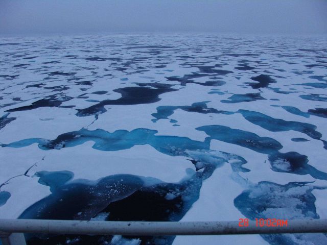 Refreezing melt ponds in multi-year ice. Picture