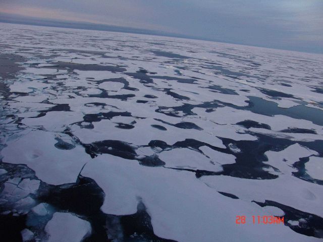 Relatively smooth ice floes in first-year ice. Picture