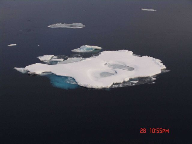 Ice floe in open water. Picture
