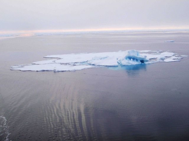 Ice floe with remnant of ridge in open water Picture