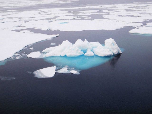 Ice floes with remnant of ridge Picture