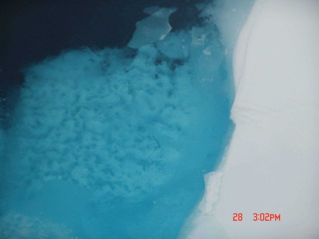 Looking down onto the edge of a melting ice floe Picture