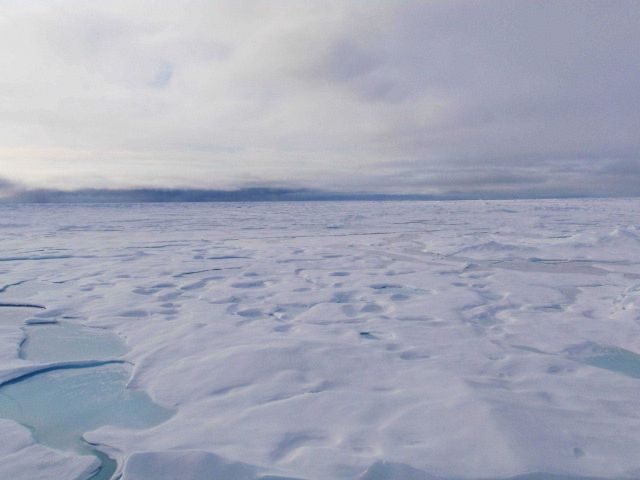 Refreezing melt ponds in multi-year ice. Picture