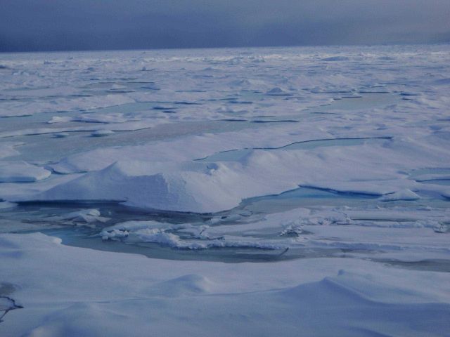 Refreezing melt ponds in multi-year ice. Picture