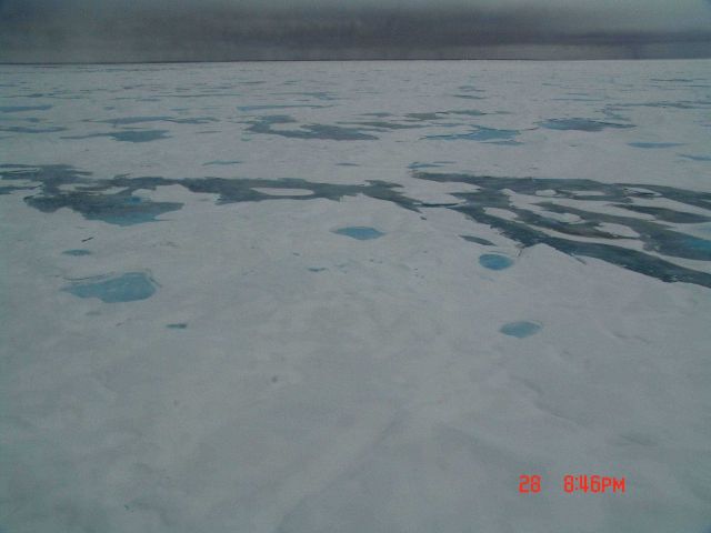 Refreezing melt ponds in multi-year ice. Picture
