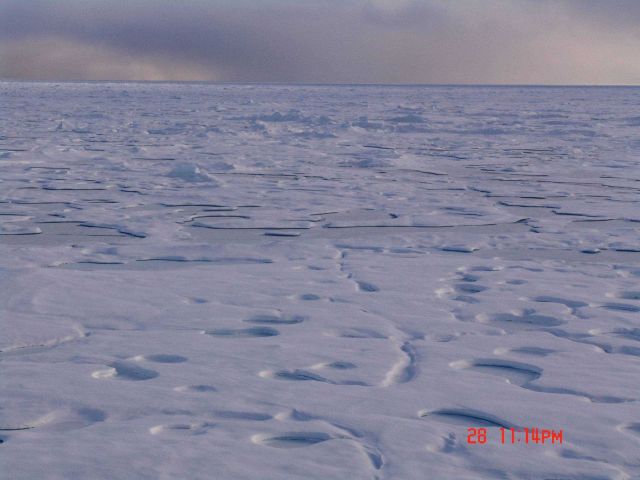 Refreezing melt ponds in multi-year ice. Picture