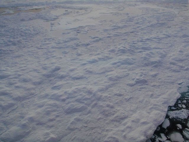 Hummocky multi-year ice. Picture