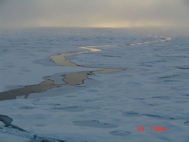 Refreezing melt ponds in multi-year ice with long serpentine lead. Picture