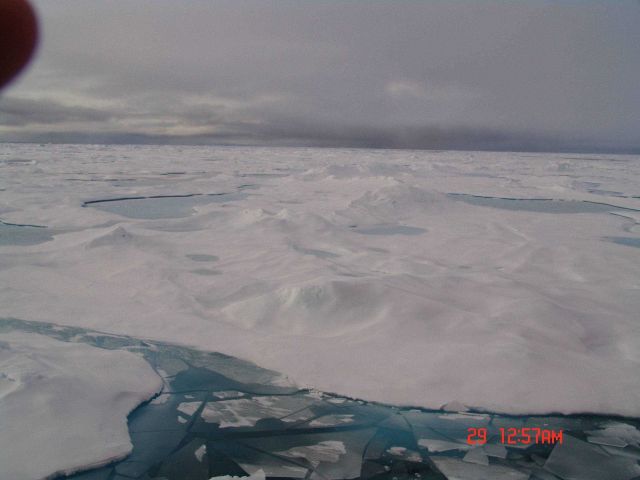 Classic view of multi-year ice with refreezing melt-ponds Picture