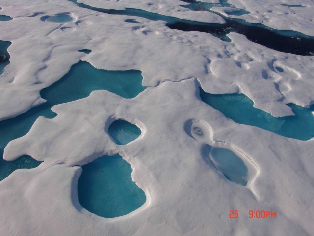 Refreezing melt ponds leave aquamarine patterns in multi-year ice. Picture