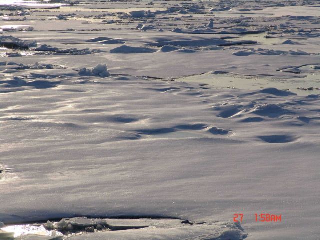 Multi-year ice floes and first year ice floes (smooth floes in upper left) coming together at end of Arctic summer. Picture