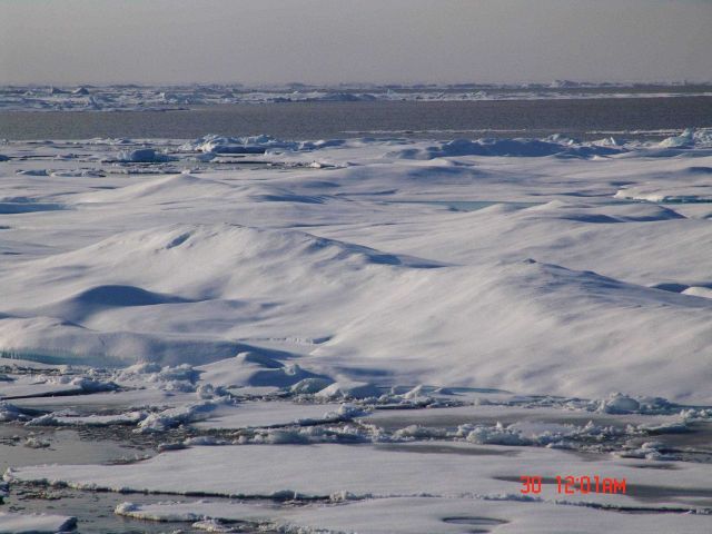 Multi-year ice floes and first year ice floes coming together at end of Arctic summer Picture