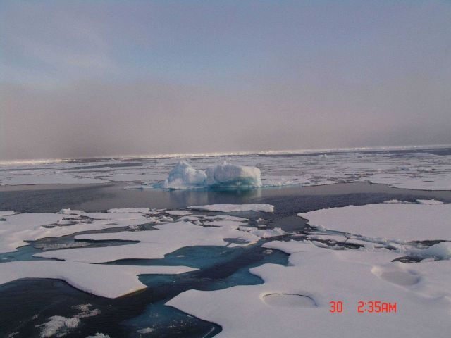 Ice floes and open water Picture
