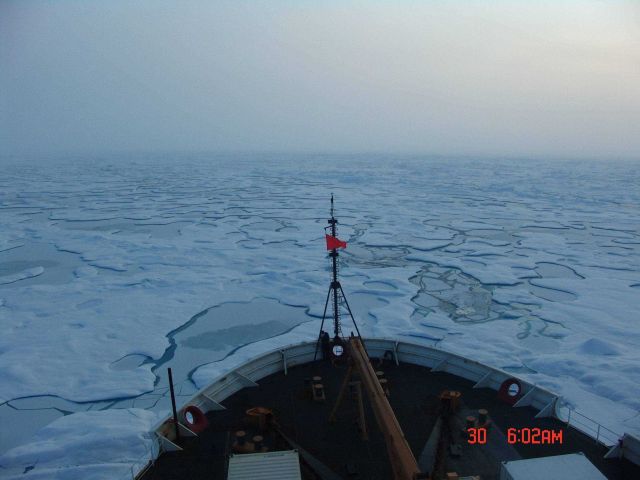 Looking over the bow of the USCGC HEALY towards an extensive area of multi- year ice with refreezing melt ponds. Picture