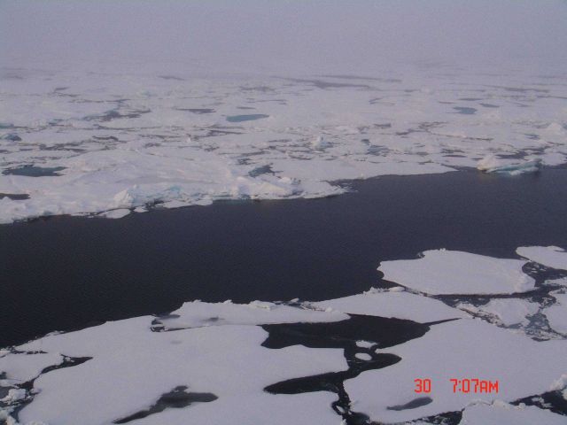 A lead through an area of first-year ice floes. Picture