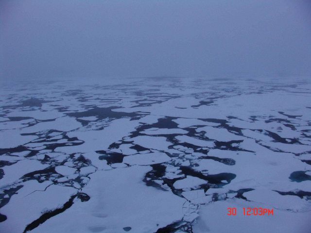 Passing through ice floes on a gray foggy day. Picture