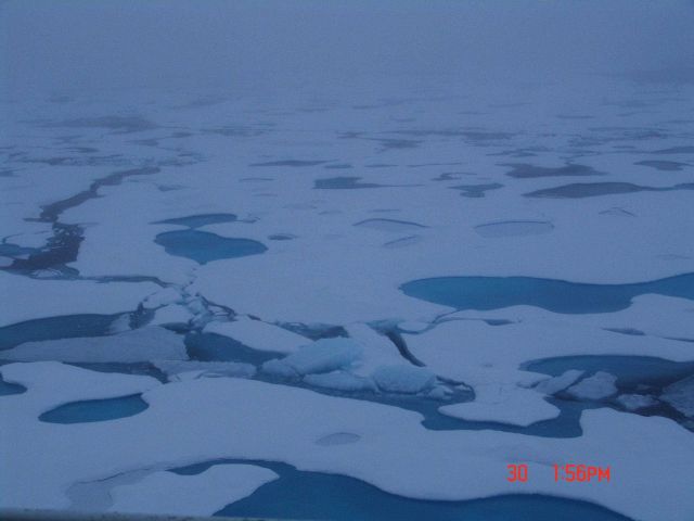 Passing through ice floes on a gray foggy day Picture