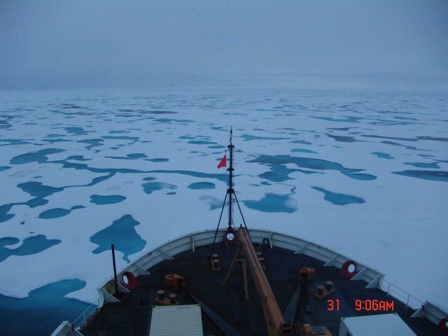 Melt pools refreeze and ice floes come together as the great ice floes and ice fields begin to reform at the end of the Arctic summer. Picture