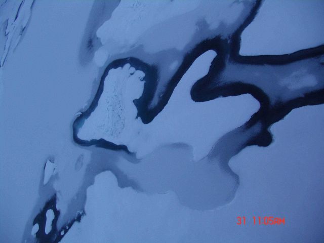 Ice floe with a foot pattern. Picture